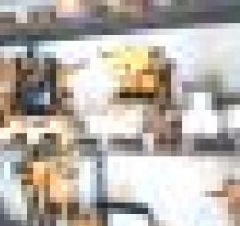 Прокат строительного оборудования - вариант 3