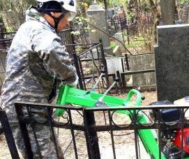 Промышленный альпинизм: деревья - тип 1