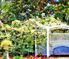 Простые садовые беседки - тип 4