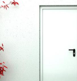 Противопожарные двери - вариант 2