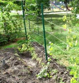 Проволока для шпалеры винограда - вариант 1