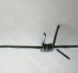 Проволока колючая одноосновная рифленая - модель 4