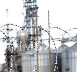 Проволока плоская колючая - модель 1
