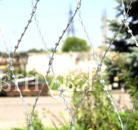 Проволока плоская колючая - модель 3