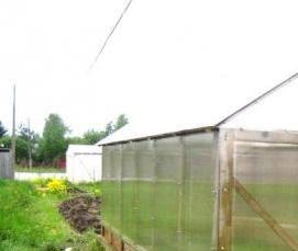 Прозрачный ондулин - модель 4