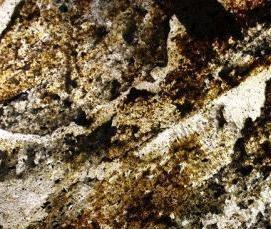 Прозрачный шпон - модель 3