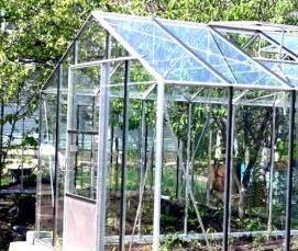 Прямоугольная теплица с односкатной крышей - модель 1