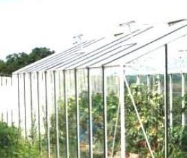 Прямоугольная теплица с односкатной крышей - модель 4