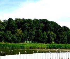 Пвх сваи - модель 3