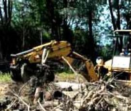 расчистка участка и вывоз мусора - модель 3