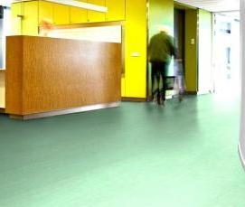 Real линолеум натуральный - тип 1