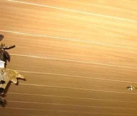 реечный потолок мдф - тип 3