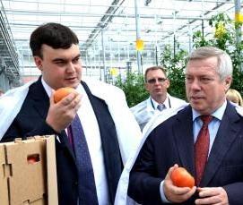 ростовские теплицы - вариант 1