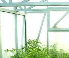 ростовские теплицы - вариант 3