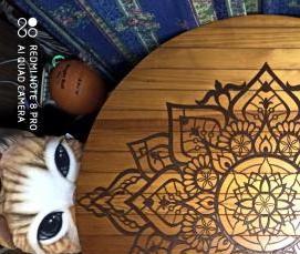 рулонные шторы Мандала - тип 3