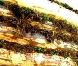 рулонный утеплитель бруса - вариант 2