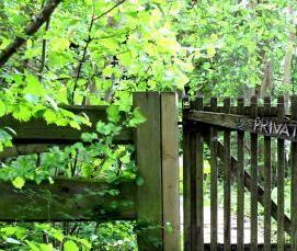 Ёадовая - вариант 4