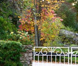 Ёадовая - вариант 3