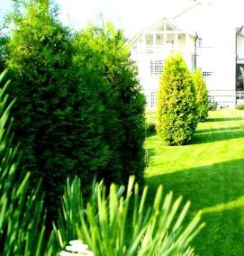 садово-парковый ландшафтный дизайн - модель 1