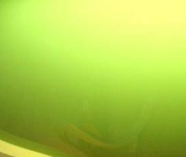 салатовый натяжной потолок - тип 2