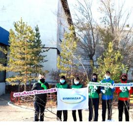 саженцы цветущих кустарников - вариант 1