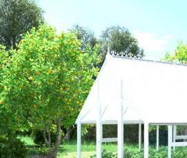 сдвижная теплица из поликарбоната - тип 3