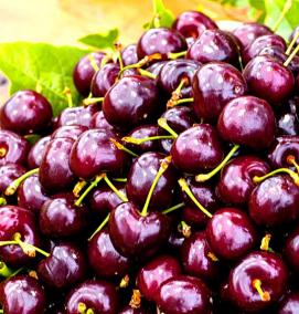 семена и саженцы - модель 3