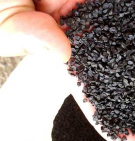 семена лука батуна - вариант 4