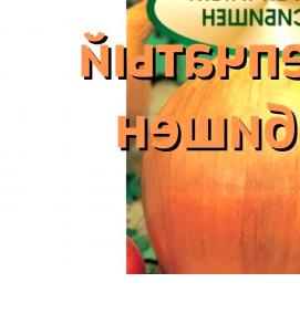 семена лука эксибишен - модель 4