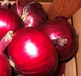 семена лука репчатого - вариант 1