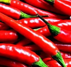 семена острого перца - модель 3