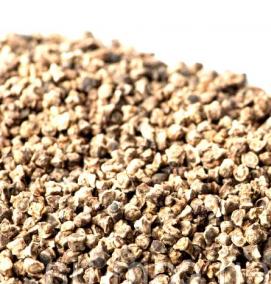 семена свеклы - модель 4