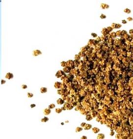 семена свеклы - модель 2