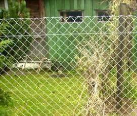 сетка сварная оцинкованная 10 на 10 мм 1 мм - вариант 2