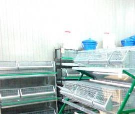 сетка сварная оцинкованная 5 на 5 см от мышей - вариант 3