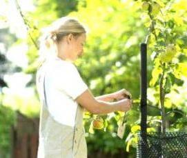 сетка сварная оцинкованная от грызунов - модель 2