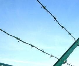 сетка сварная с4 - модель 1