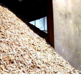 щепа акации - тип 3