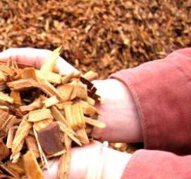 щепа акации - тип 2