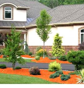 щепа хвойных пород - тип 4