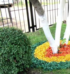 щепа лиственницы для мульчирования - тип 4