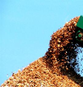 щепа сухая - вариант 2