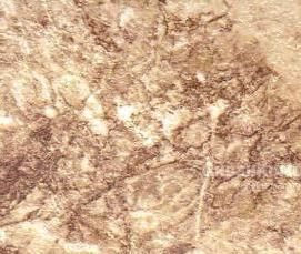 щит мебельный 1200х200х18 мм - вариант 1