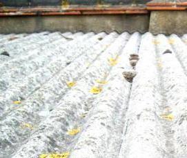 шифер 1 лист - тип 4