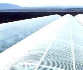 шифер волновой прозрачный - вариант 2