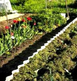 шиферные грядки - вариант 2