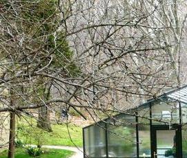 школьная теплица - вариант 4