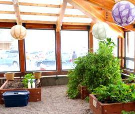 школьная теплица - вариант 3