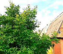 шлакоблок м 100 - вариант 3