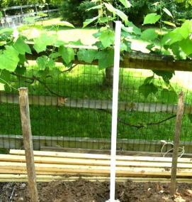 шпалера для винограда металлическая - вариант 2